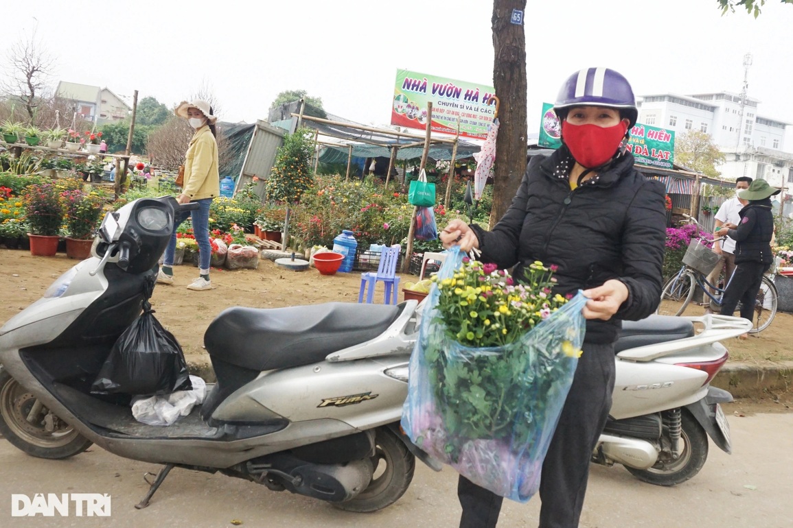 Hoa trạng nguyên, lồng đèn xuống phố đọ sắc Tết với đào, mai - 10 Hoa trạng nguyên, lồng đèn xuống phố đọ sắc Tết với đào, mai - 10