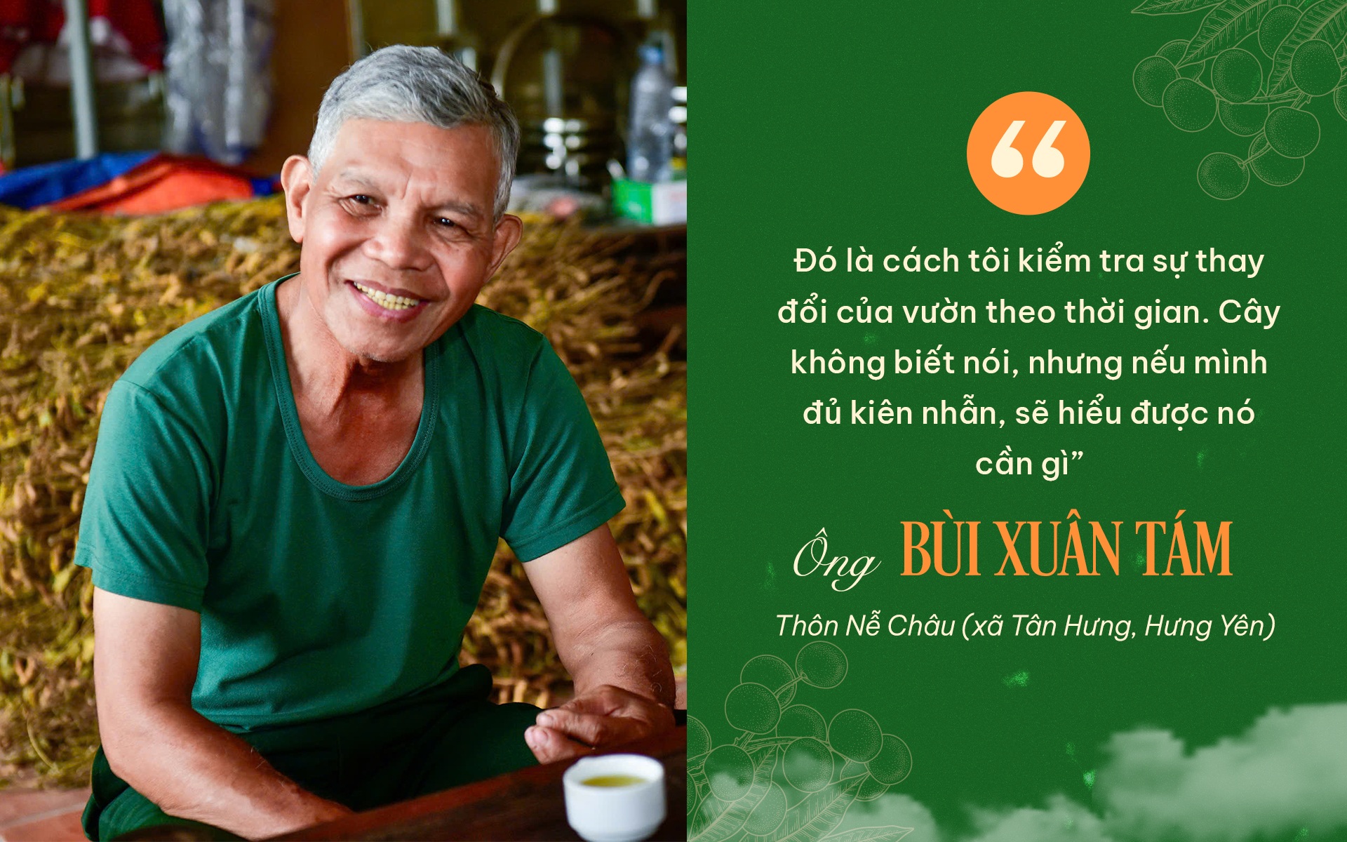 Quyết giữ “lộc phẩm tiến vua”, lão nông thu loại nhãn đắt gấp 10 lần - 15 Quyết giữ “lộc phẩm tiến vua”, lão nông thu loại nhãn đắt gấp 10 lần - 15