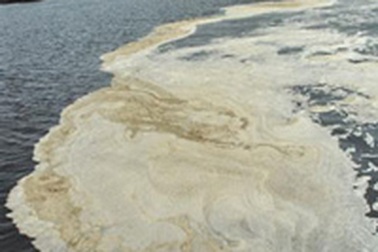 Cảnh báo về một giải pháp “cứu” sông Thị Vải