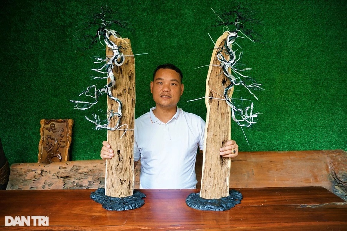 Bỏ việc nghìn đô la, kỹ sư về làm bonsai bất tử bán cho đại gia - 5 Bỏ việc nghìn đô la, kỹ sư về làm bonsai bất tử bán cho đại gia - 5