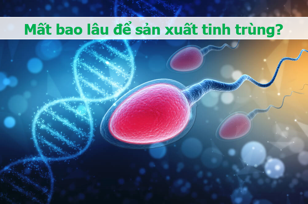 Tinh trùng và những điều bất ngờ: Vẫy đuôi 20 lần/giây, mất 70 ngày để lớn - 2 Tinh trùng và những điều bất ngờ: Vẫy đuôi 20 lần/giây, mất 70 ngày để lớn - 2