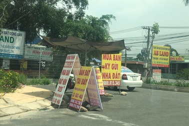 Mua "lúa non" quanh dự án Long Thành