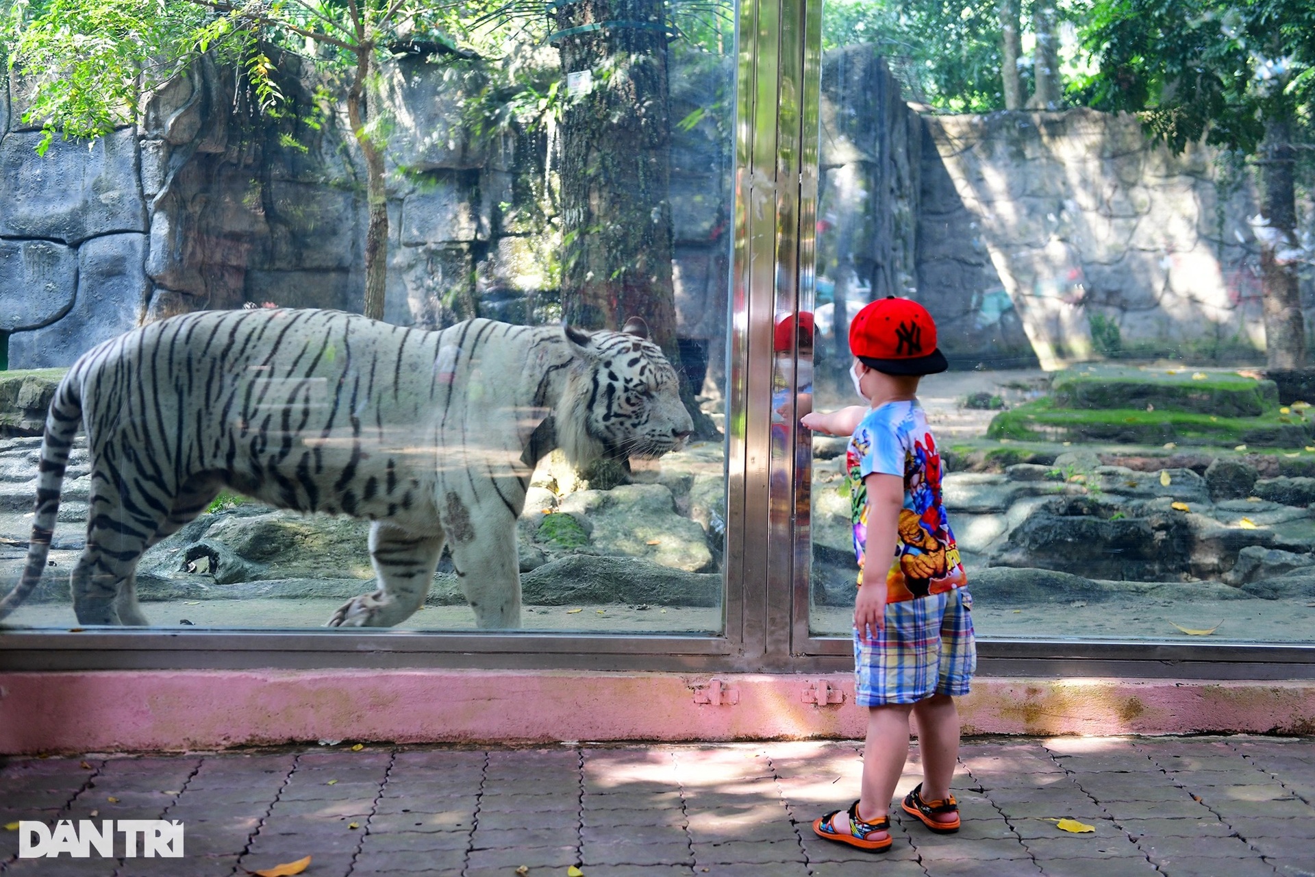 Thảo cầm viên Sài Gòn mở cửa, người dân đổ xô đưa con em đến vui chơi - 10 Thảo cầm viên Sài Gòn mở cửa, người dân đổ xô đưa con em đến vui chơi - 10