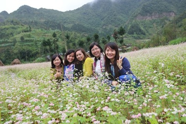 Bất chấp mưa lạnh, dân phượt đổ xô lên Hà Giang ngắm hoa tam giác mạch