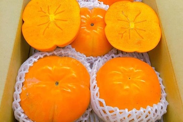 Hồng Nhật khổng lồ thơm mùi sữa, 1 triệu đồng/quả vẫn "cháy hàng"