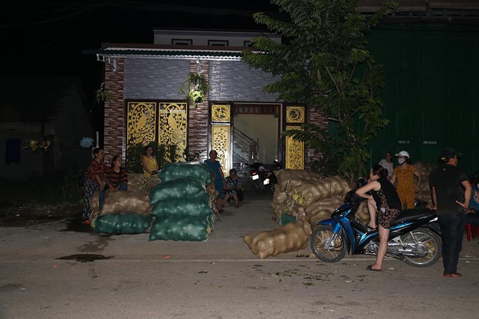 Cận cảnh trắng đêm đưa trái đặc sản lên tàu xe kịp phục vụ Tết độc lập - 4 Cận cảnh trắng đêm đưa trái đặc sản lên tàu xe kịp phục vụ Tết độc lập - 4