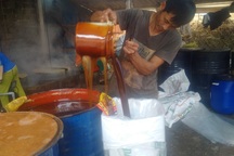 "Thủ phủ" mật mía xứ Thanh tất bật ngày cận Tết