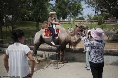 Khám phá bên trong vườn thú ở Triều Tiên