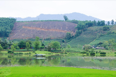 Có "phát canh thu tô" trong sử dụng đất nông, lâm trường ở Nghệ An