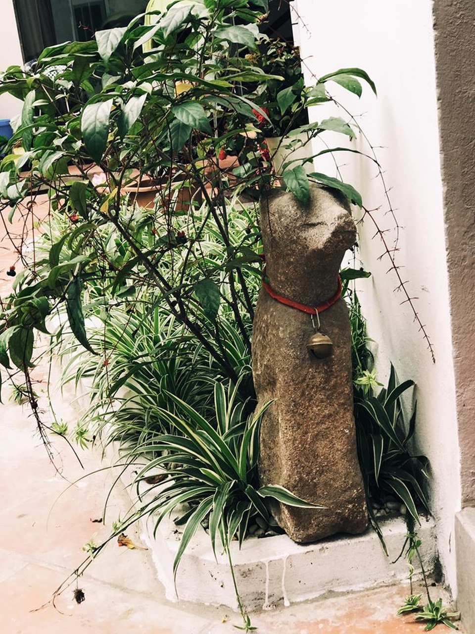 Nhà “tổ chim” ở Hà Nội gây ấn tượng bởi thiết kế không giống ai - 16 Nhà “tổ chim” ở Hà Nội gây ấn tượng bởi thiết kế không giống ai - 16
