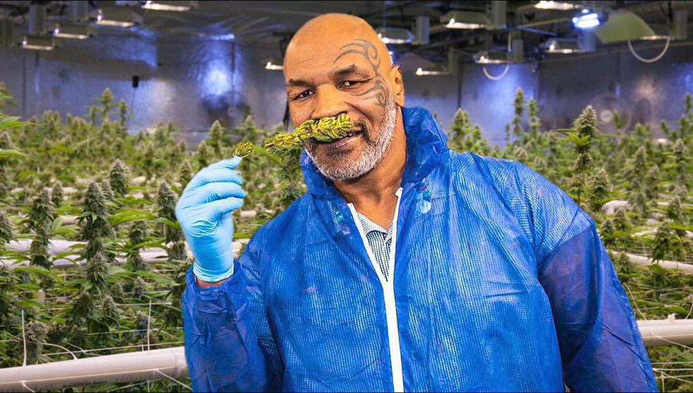 Mike Tyson: Đốt sạch 500 triệu USD ở địa ngục, thân già nhặt từng đồng - 5 Mike Tyson: Đốt sạch 500 triệu USD ở địa ngục, thân già nhặt từng đồng - 5
