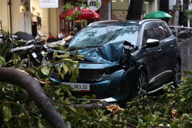 Cây xanh, biển hiệu ngã đổ khắp nơi sau mưa lớn ở TPHCM