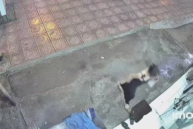 Cô gái gặp tai nạn “dở khóc, dở cười” với cửa kính