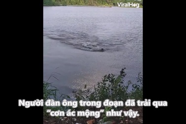 Người đàn ông bị cá sấu tấn công khi đang bơi trên sông
