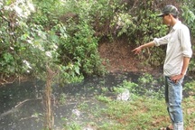 Thêm một nhà máy vô tư “đầu độc” môi trường