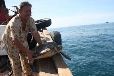 Một phụ nữ bỏ tiền triệu mua đồi mồi quý hiếm thả ra biển