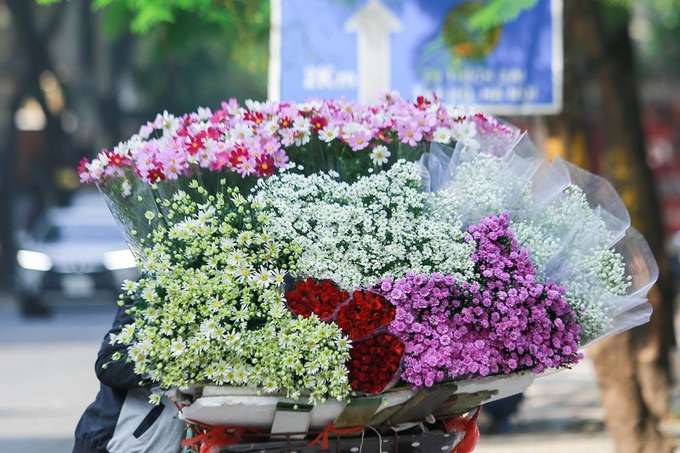 Hà Nội: Họa mi về phố - Ảnh 2. Hà Nội: Họa mi về phố - Ảnh 2.