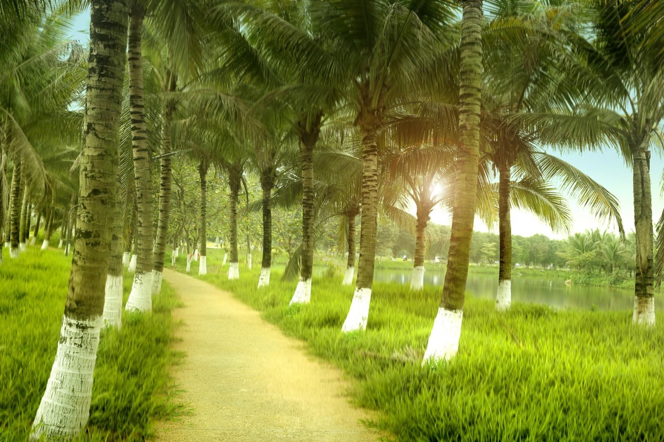 Vì sao chất lượng không khí ở Ecopark lại sánh ngang châu Âu? - 7 Vì sao chất lượng không khí ở Ecopark lại sánh ngang châu Âu? - 7