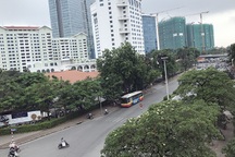 Hà Nội chặt hạ, đánh chuyển 130 cây xanh trên đường Kim Mã