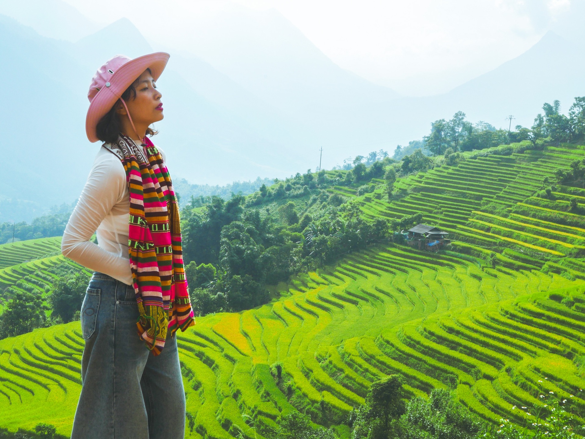 The picturesque golden terraced fields captivate visitors to Sapa - 2