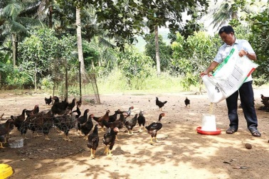 Gia Lai: Tín dụng chính sách giúp người dân thoát nghèo