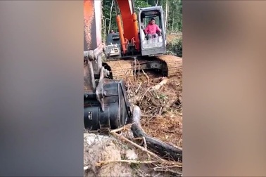 Nhóm công nhân phát hiện trăn cỡ lớn khi đang đào đất làm đường