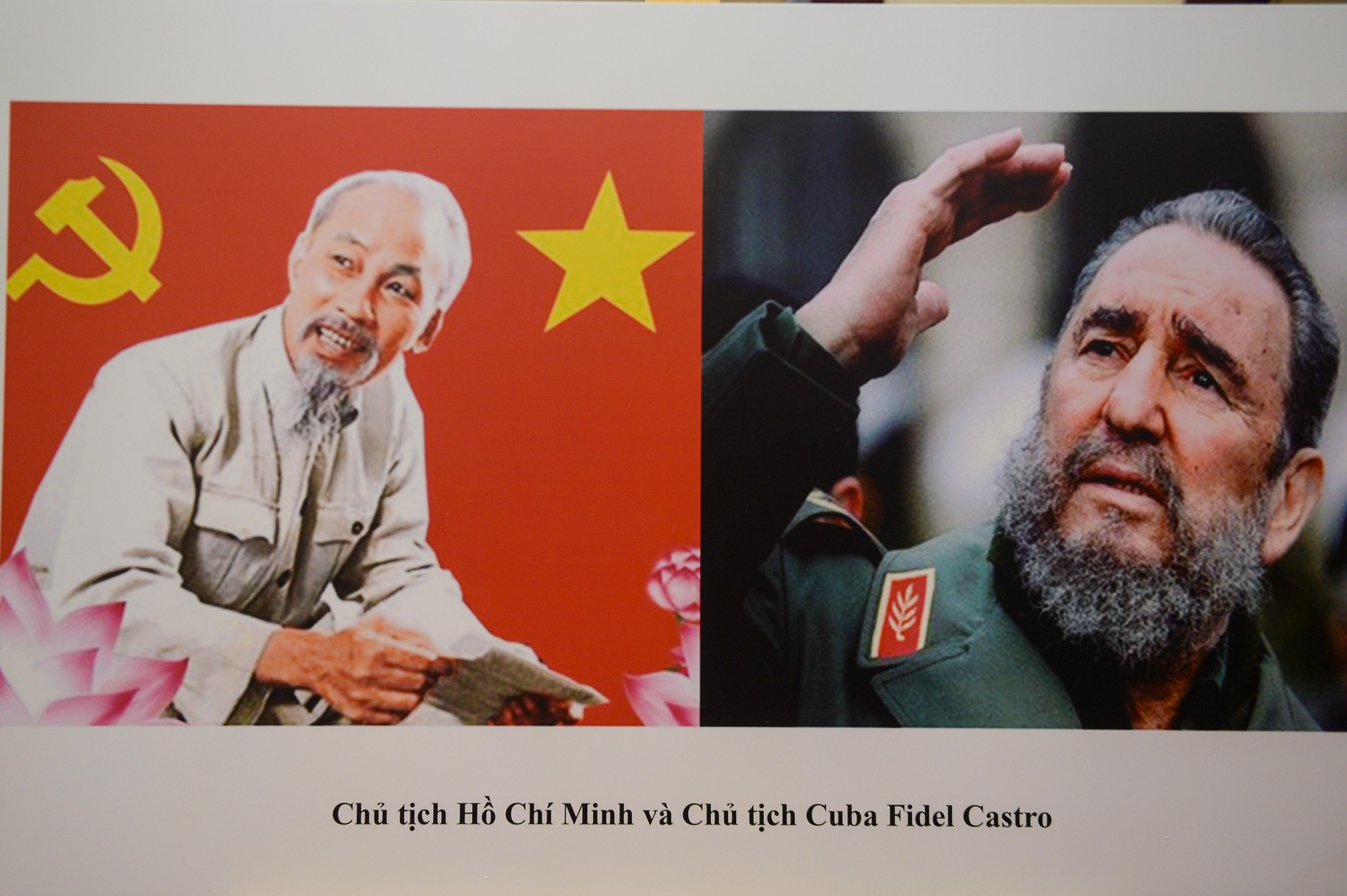 Cuba luôn tự hào khi có Việt Nam là một quốc gia anh em - 8 Cuba luôn tự hào khi có Việt Nam là một quốc gia anh em - 8