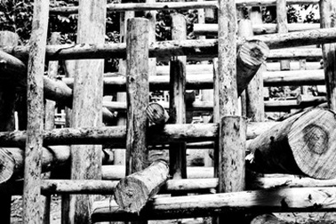 Nghệ thuật quốc tế trên đất Mường