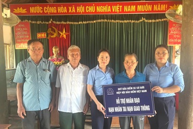 Quỹ Bảo hiểm xe cơ giới hỗ trợ 90 triệu đồng cho 2 nạn nhân tai nạn giao thông