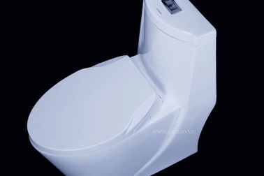 Toilet xả mạnh và tiết kiệm nước đang là xu hướng 2019