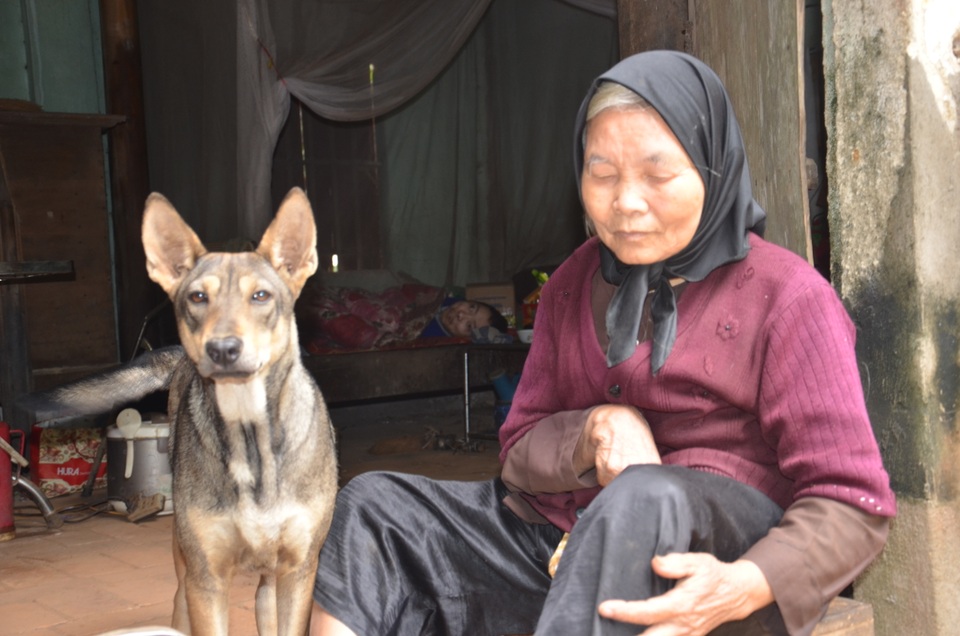Chú chó thông minh nhiều lần cứu mạng cụ bà bị liệt chăm con bại não - 2 Chú chó thông minh nhiều lần cứu mạng cụ bà bị liệt chăm con bại não - 2