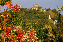 Lên đỉnh Bạch Mã ngắm lan vanilla, đỗ quyên khoe sắc