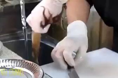 Clip dành cho bà nội trợ: Nghệ thuật sơ chế hải sản tươi ngon của Nhật