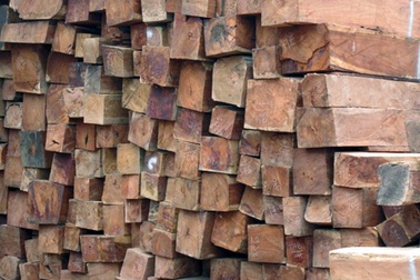  Bị bắt, lâm tặc lật gỗ xuống đường để bỏ chạy