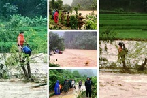 Giải cứu người đàn ông mắc kẹt trên ngọn cây, giữa dòng nước lũ