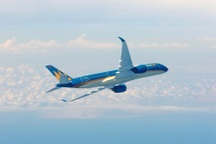 Máy bay đến TPHCM hạ cánh khẩn cấp tại Thổ Nhĩ Kỳ để cứu hành khách