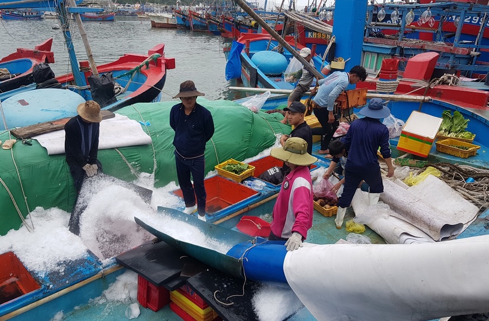 Khánh Hòa: Ngư dân bỏ Tết vươn Trường Sa, bám vụ cá ngừ đại dương - 5 Khánh Hòa: Ngư dân bỏ Tết vươn Trường Sa, bám vụ cá ngừ đại dương - 5