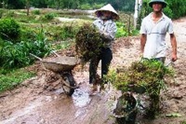 Bí thư chi bộ “rủ” vợ đắp đường cho dân đi 