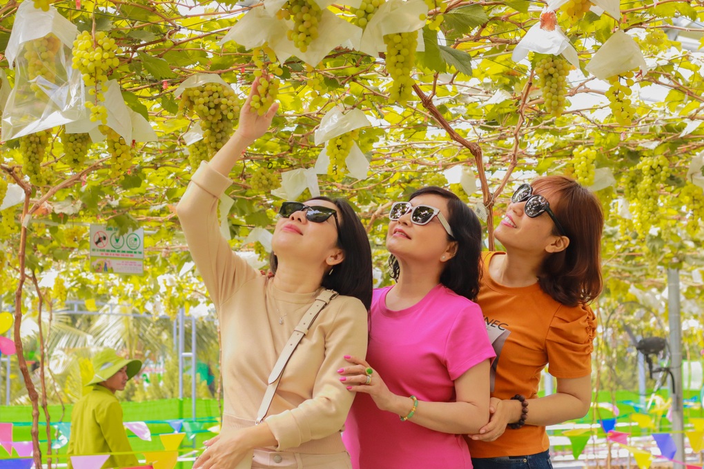 Suối Tiên: Hành trình 30 năm từ lâm trại nuôi trăn đến biểu tượng du lịch văn hóa Việt - 5 Suối Tiên: Hành trình 30 năm từ lâm trại nuôi trăn đến biểu tượng du lịch văn hóa Việt - 5