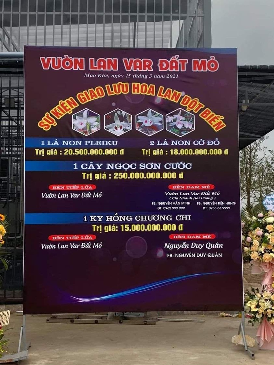 Quảng Ninh vào cuộc xác minh thương vụ lan var 250 tỷ đồng - 2 Quảng Ninh vào cuộc xác minh thương vụ lan var 250 tỷ đồng - 2