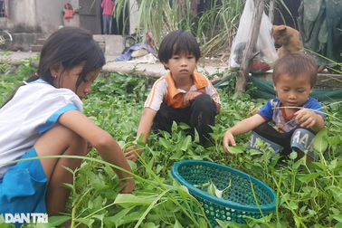 Bố mẹ bỏ đi, 3 đứa trẻ nheo nhóc sống với bà ngoại gần 70 tuổi