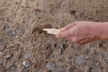 Đường bê tông xã nghèo chưa nghiệm thu đã bong tróc, nứt chằng chịt