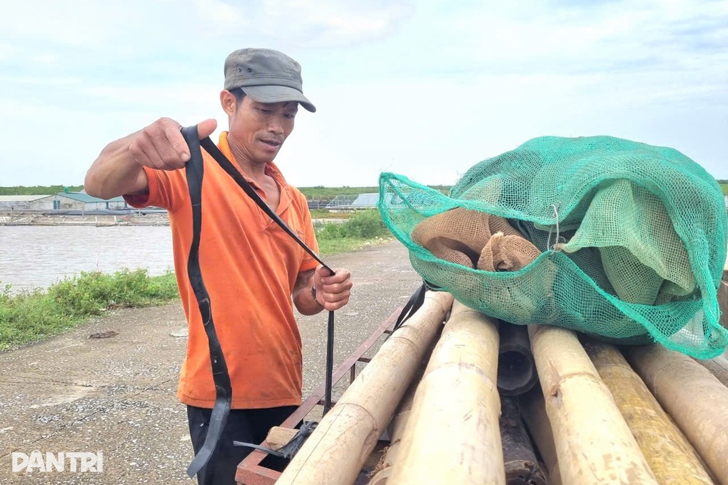 Ninh Bình lên phương án hộ đê toàn tuyến trước giờ bão Wipha đổ bộ - 3