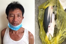 Cho cá "ngậm" ma túy để qua mặt lực lượng chức năng