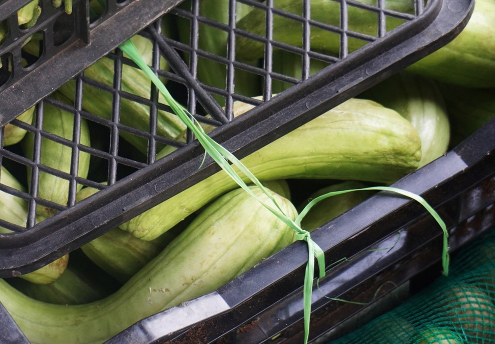 Người Quảng Nam hái rau, góp gạo tiếp sức Đà Nẵng chống dịch - 6