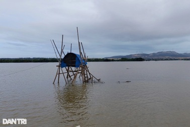 Lấn chiếm 6 ha đầm Thị Nại, 3 người bị phạt hơn một tỷ đồng