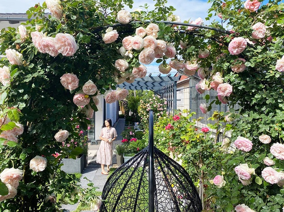 Những khu vườn sum suê rau, trái của các ông bố Việt ở trời Tây - 11 Những khu vườn sum suê rau, trái của các ông bố Việt ở trời Tây - 11