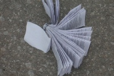 Tan môn Sử, “phao” trắng trường thi