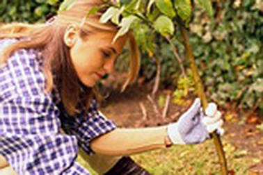 5 loại việc nên làm mỗi ngày 