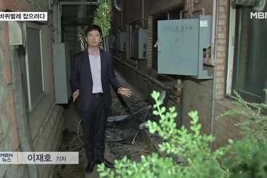 Giết một con gián vô tình làm cháy cả tòa nhà khiến một người tử vong